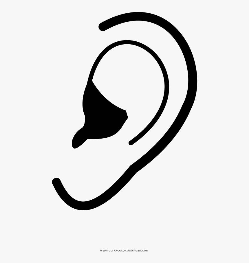 Ear Drawing Coloring Book Auricle - Ear Silhouette, HD Png Download, Free Download