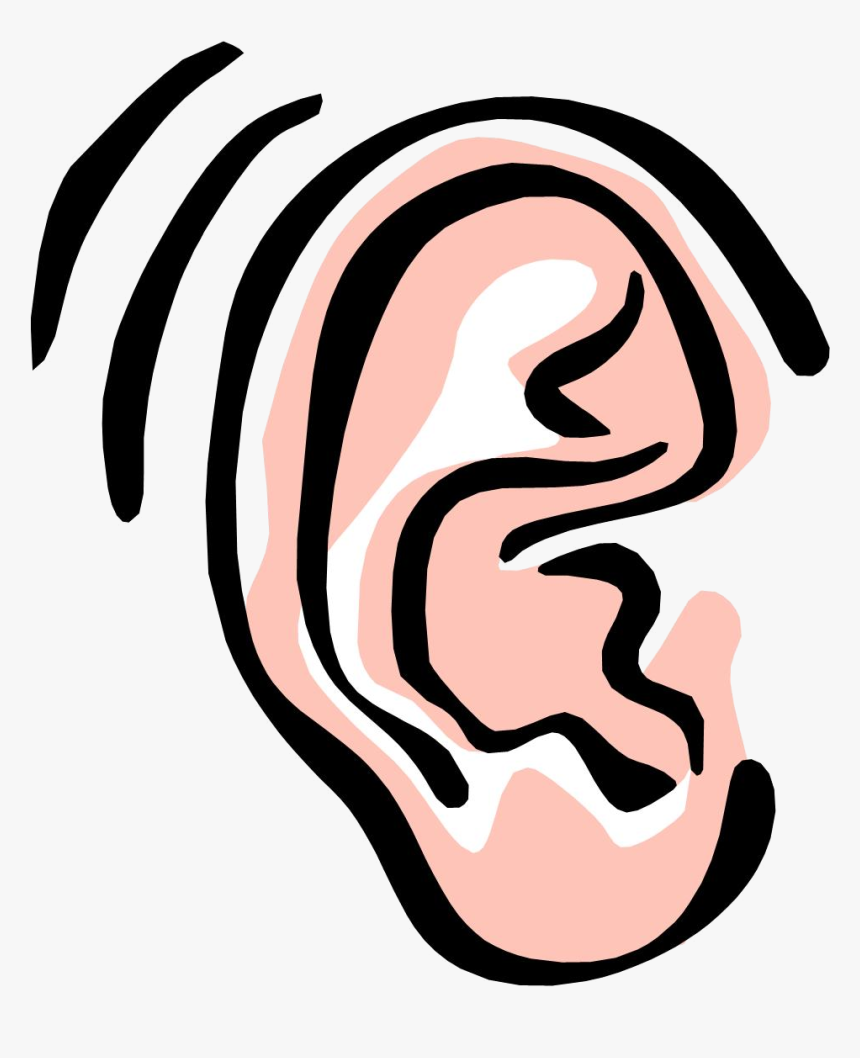 Ear Free Image Of The Clip Art On Transparent Png - Ear Clipart, Png Download, Free Download