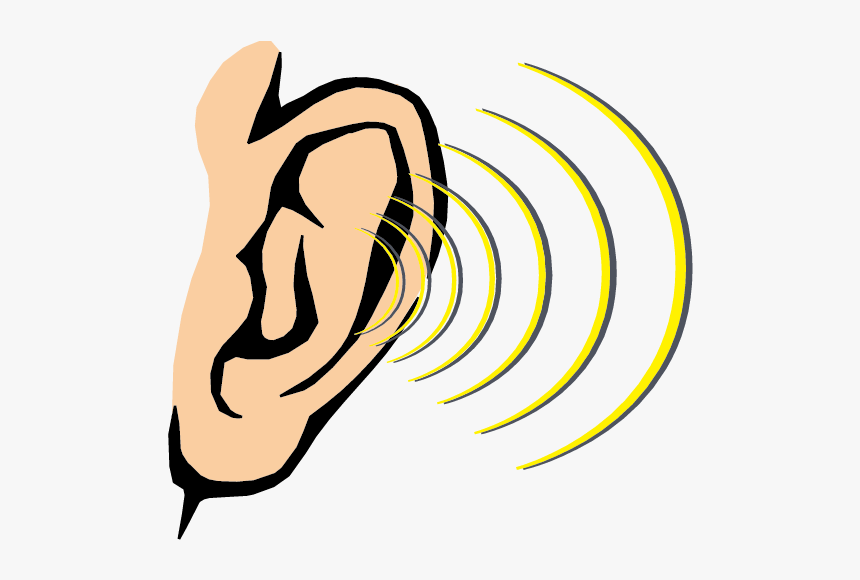 Clip Art Cartoon Ear - Sense Of Hearing Clipart, HD Png Download, Free Download