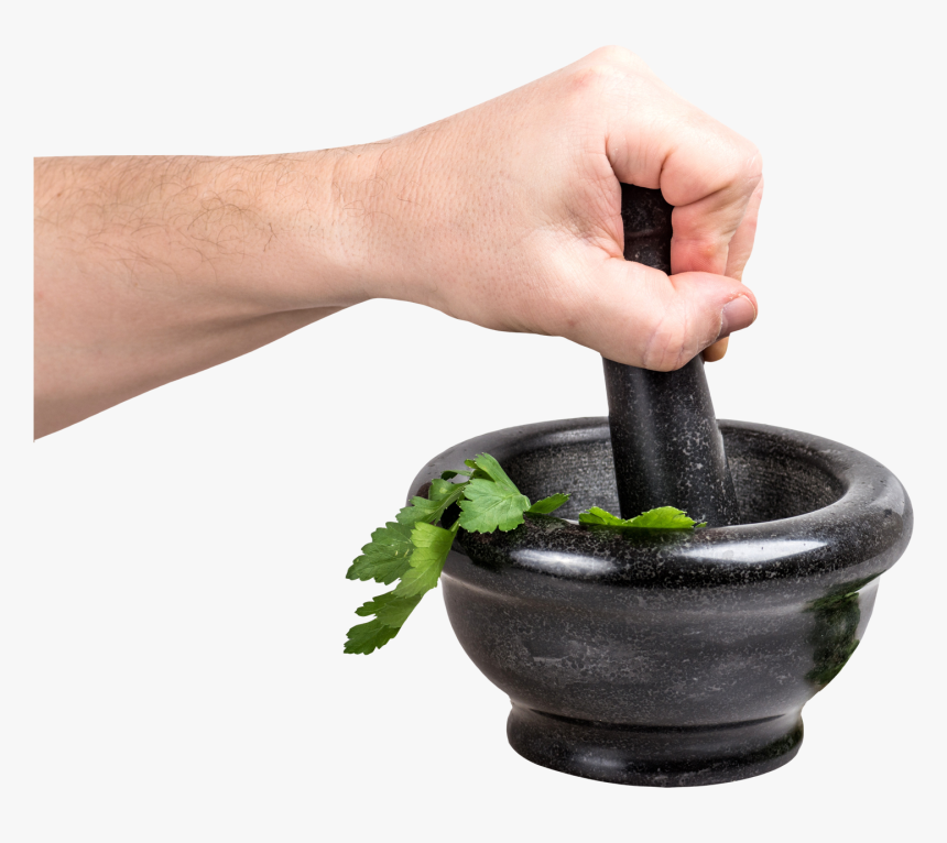 Parsley In Bowl - Houseplant, HD Png Download, Free Download