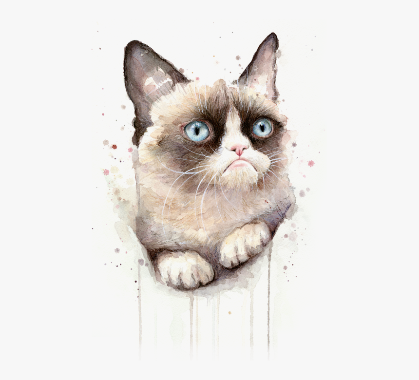 Grumpy Cat Watercolor, HD Png Download, Free Download