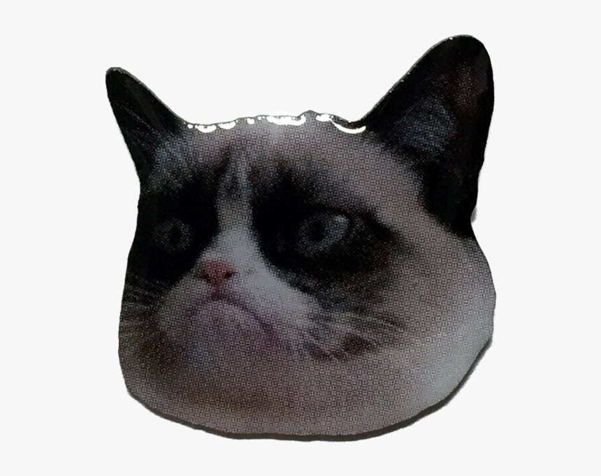 Grumpy Cat Pin - Grumpy Cat Face Transparent, HD Png Download, Free Download