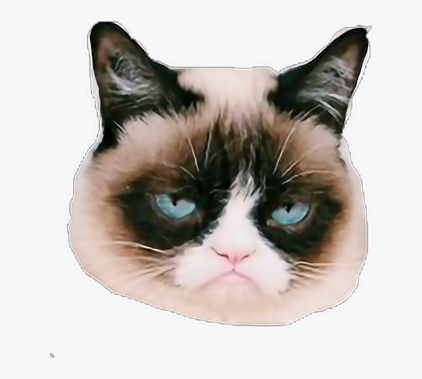 #grumpycat #grump #grumpy #cats #sticker - Return To Work After Holiday, HD Png Download, Free Download