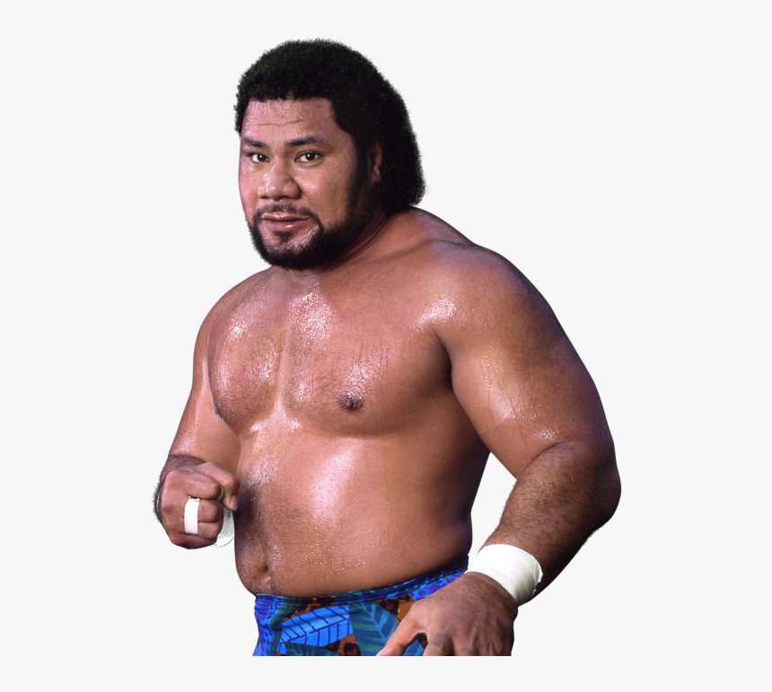 Wwe Haku - Haku Wwe Png, Transparent Png, Free Download