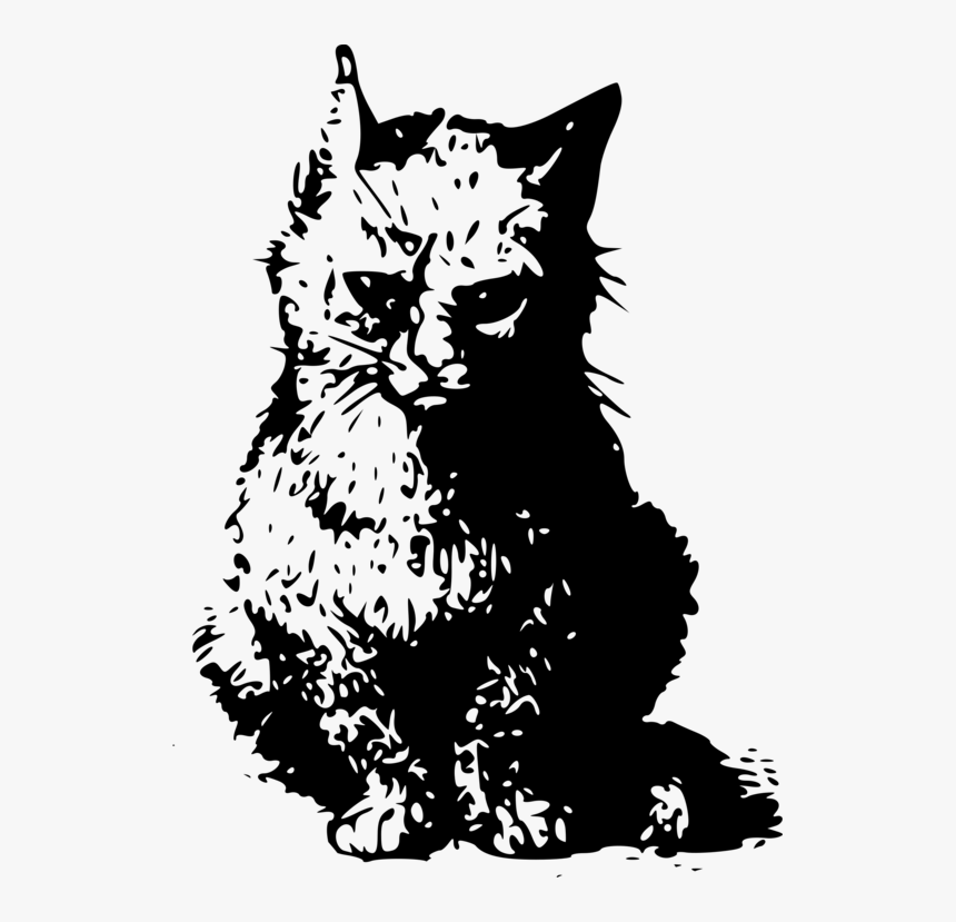 Art,monochrome Photography,carnivoran - Schrodinger's Cat Transparent Background, HD Png Download, Free Download