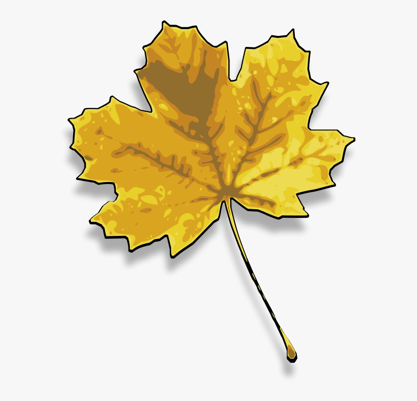 Dry Leaf Png Clipart, Transparent Png, Free Download