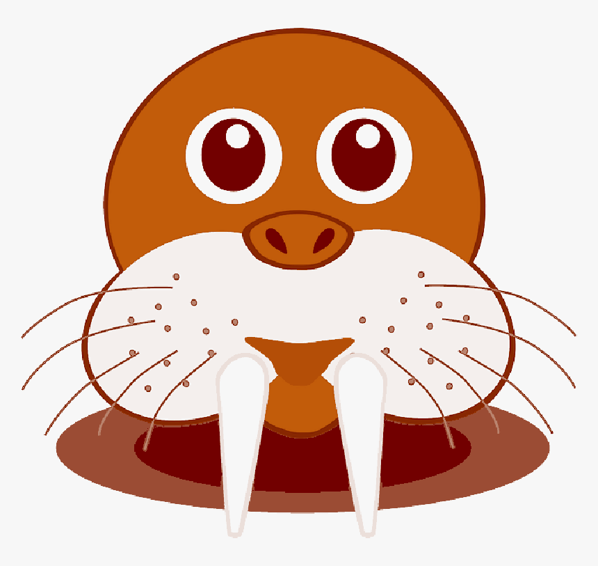 Elephant Seal, Seecatch, Seal, Marine, Sea Life, Fangs - Walrus Cartoon, HD Png Download, Free Download