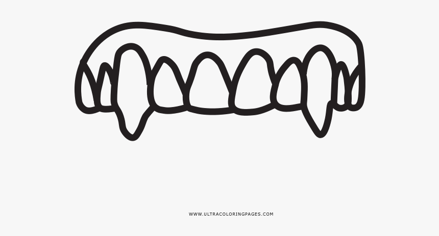 Vampire Fangs Coloring Page - Line Art, HD Png Download, Free Download
