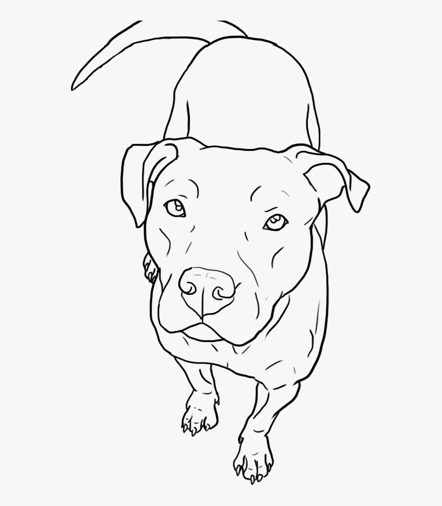 Easy Pitbull Face Drawings , Png Download - Pitbull Line Drawing, Transparent Png, Free Download