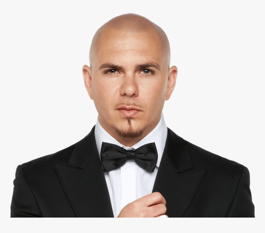 Pitbull With Bow Tie - Pitbull Singer, HD Png Download, Free Download