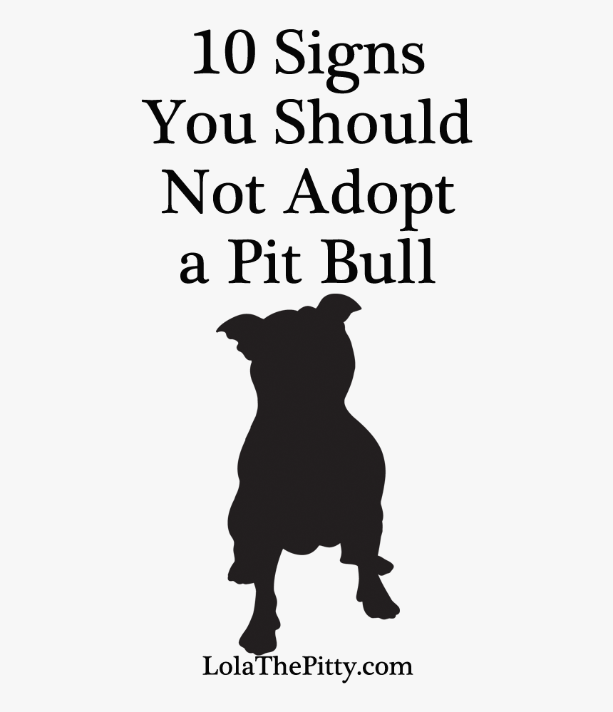 10 Signs You Shouldn"t Adopt A Pit Bull - Dog Licks, HD Png Download, Free Download