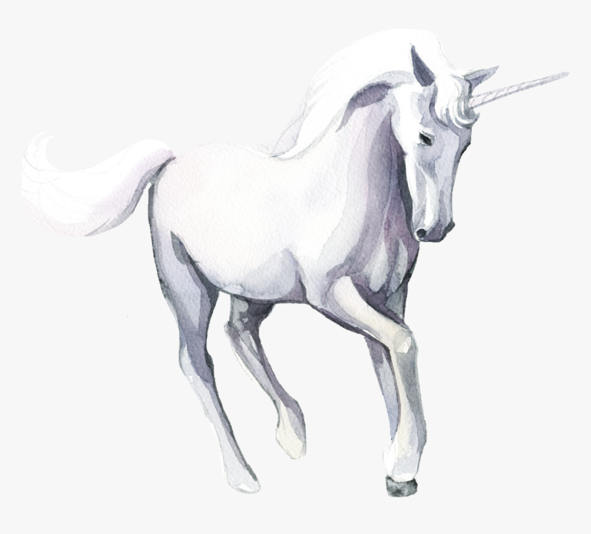 Hd The Unicorn Hesitated - Unicorn, HD Png Download, Free Download