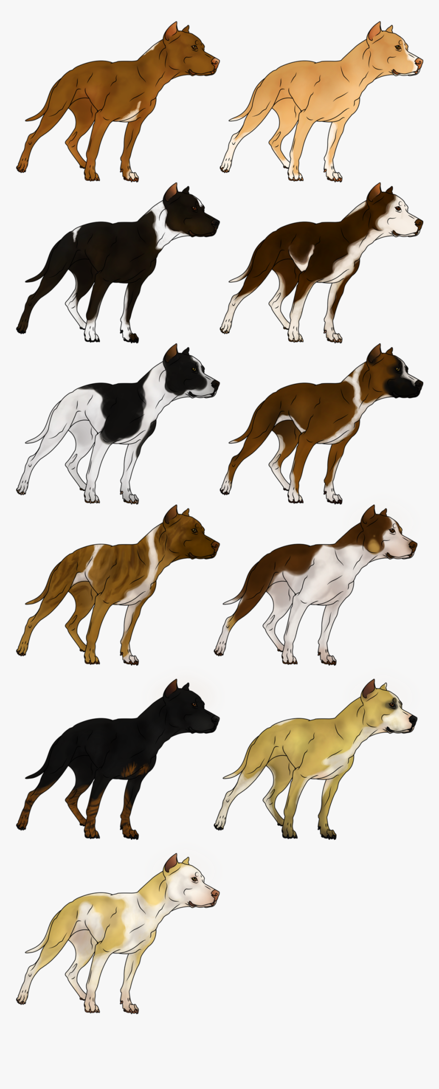 American Pit Bull Terrier American Bulldog Game - Game Pitbull, HD Png Download, Free Download