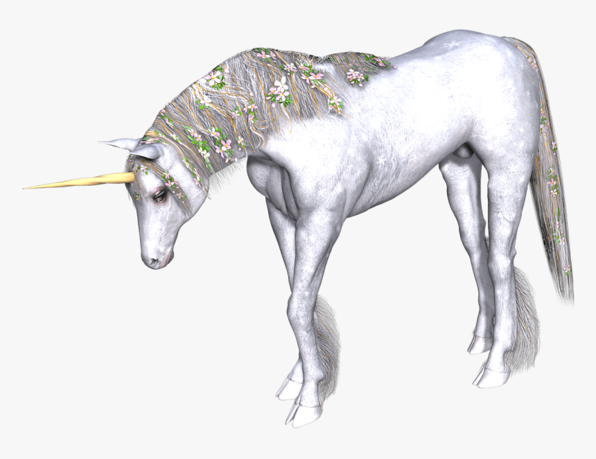 Full White Unicorn Head Down - Unicorns Transparent, HD Png Download, Free Download