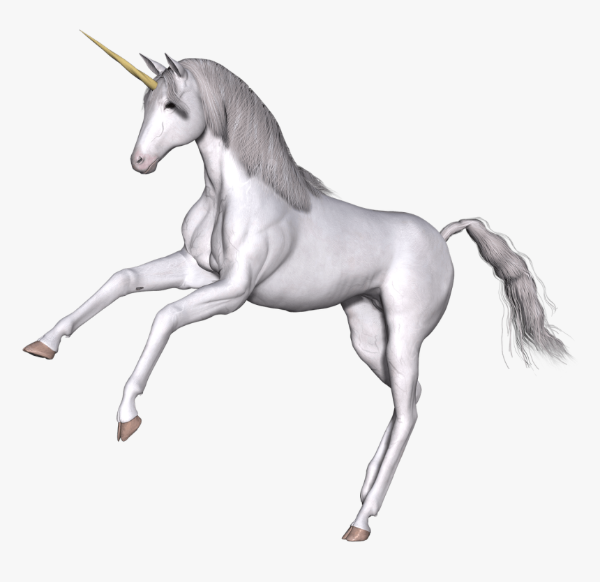 Full White Unicorn Front Legs Up - Unicorns Transparent, HD Png Download, Free Download