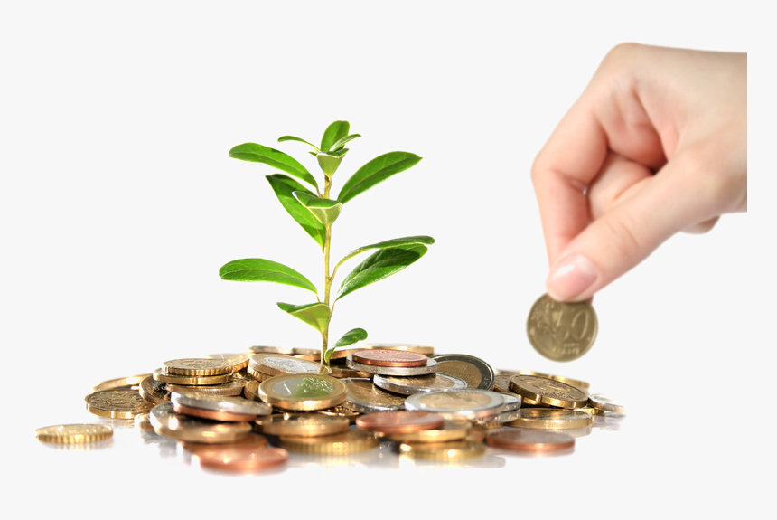 Real Estate Investment Png Transparent Images - Indian Money Tree Png, Png Download, Free Download