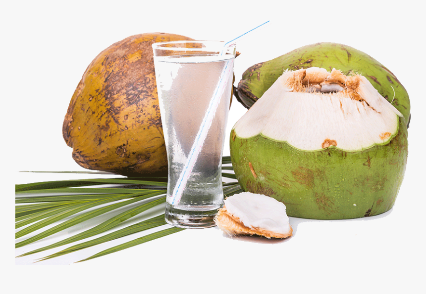 Transparent Coconut Drink Png - Coconut Water Drink Png, Png Download, Free Download