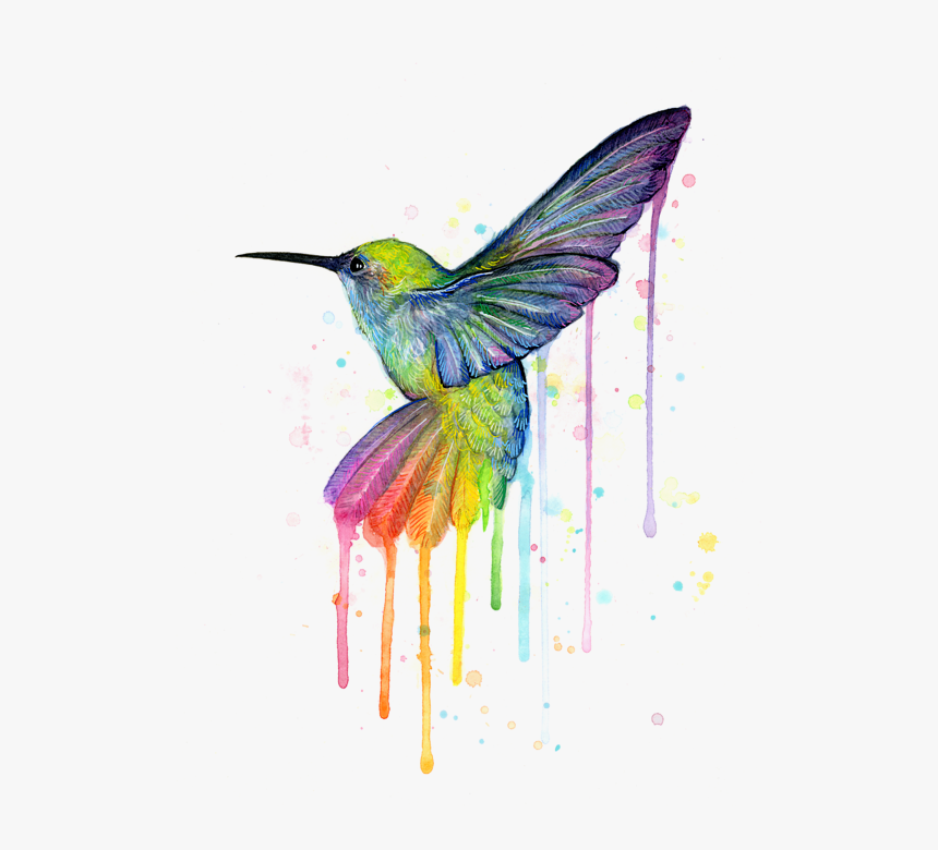 Hummingbird Of Watercolor Rainbow, HD Png Download, Free Download