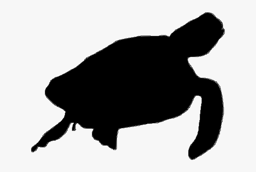 Silhouette Of A Sea Turltle, HD Png Download, Free Download