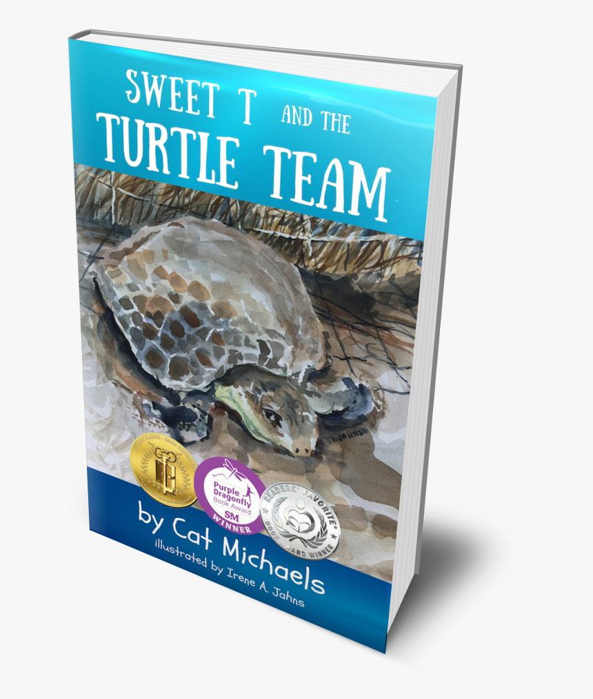 Kemp's Ridley Sea Turtle, HD Png Download, Free Download