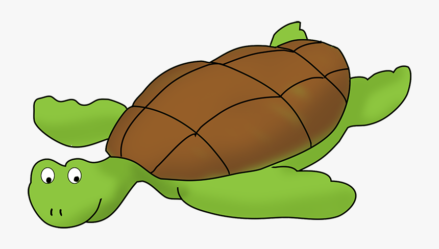 Turtle Clip Art Png - Sea Turtles Clip Art, Transparent Png, Free Download