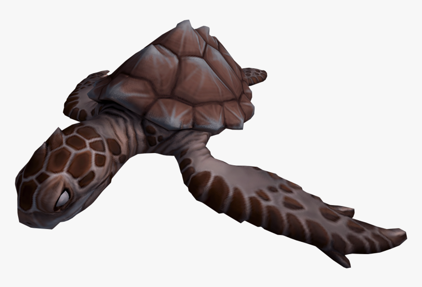 The Runescape Wiki - Burnt Turtle, HD Png Download, Free Download