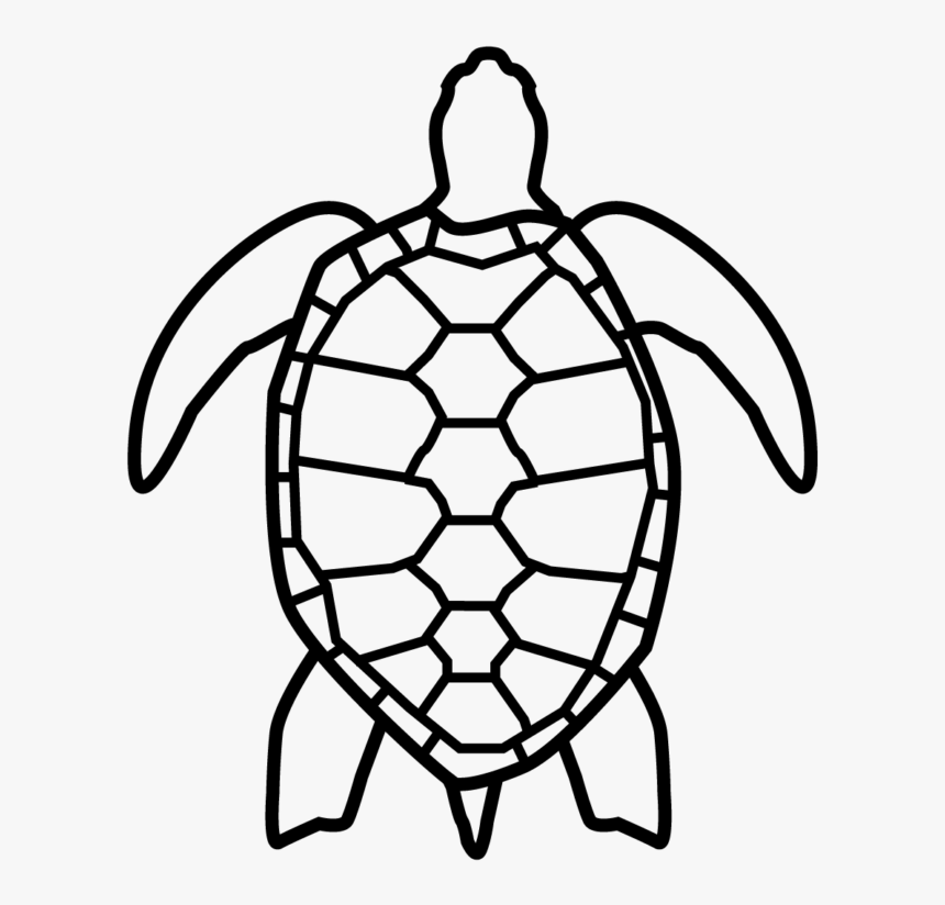 Sea Turtle Icon Transparent, HD Png Download, Free Download