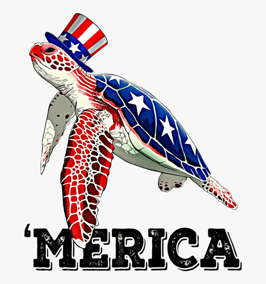 4th Of July Turtle, HD Png Download, Free Download