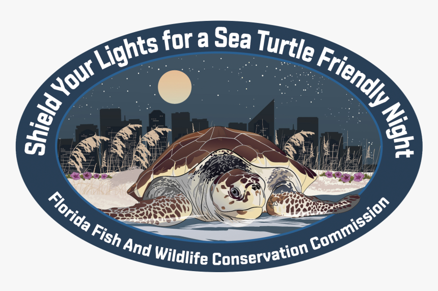 Sea Turtle Decal - Kemp's Ridley Sea Turtle, HD Png Download, Free Download