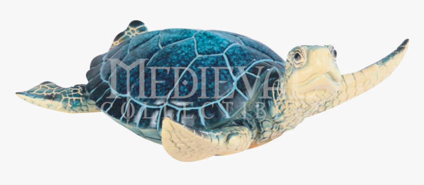 Hawksbill Sea Turtle, HD Png Download, Free Download