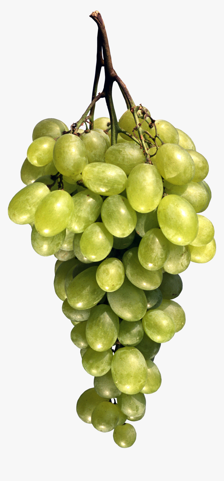 Grape Png Image Download, Free Picture - Fruit Png, Transparent Png, Free Download