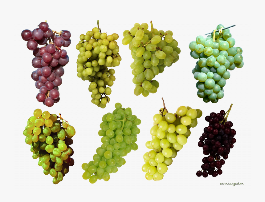 Download This High Resolution Grape Icon Png - Purple And Green Grapes, Transparent Png, Free Download