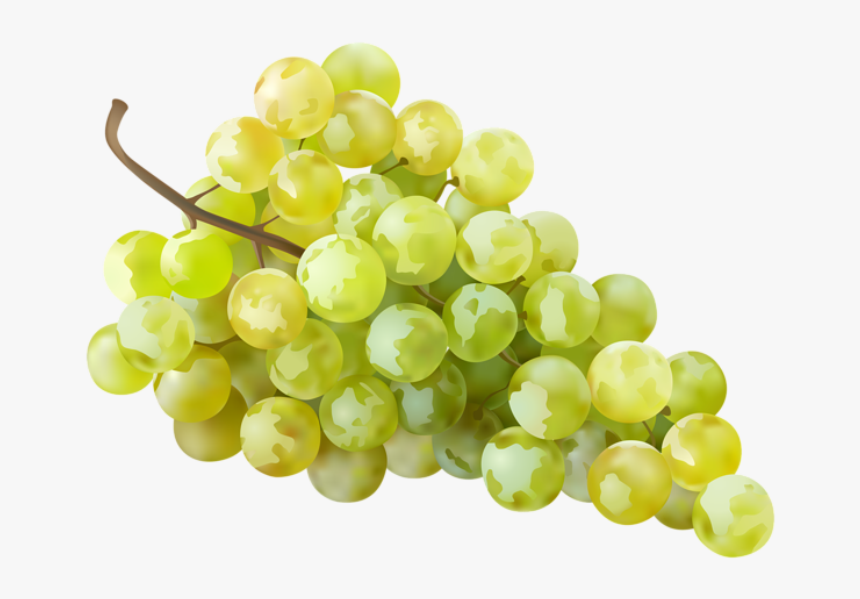 Grape,seedless Fruit,sultana,grapevine Foods,food,zante - Wine Grapes Transparent Background, HD Png Download, Free Download