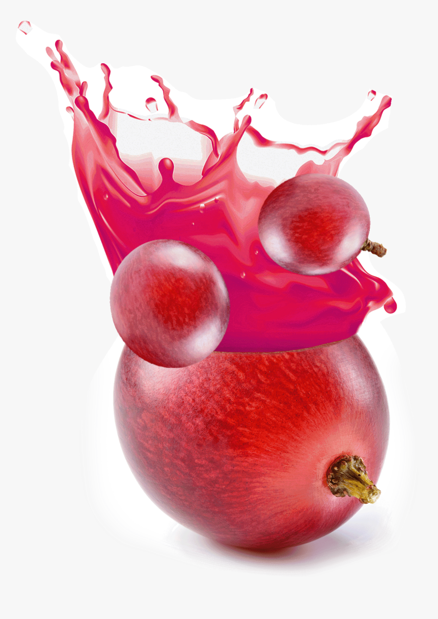 Grape, HD Png Download, Free Download