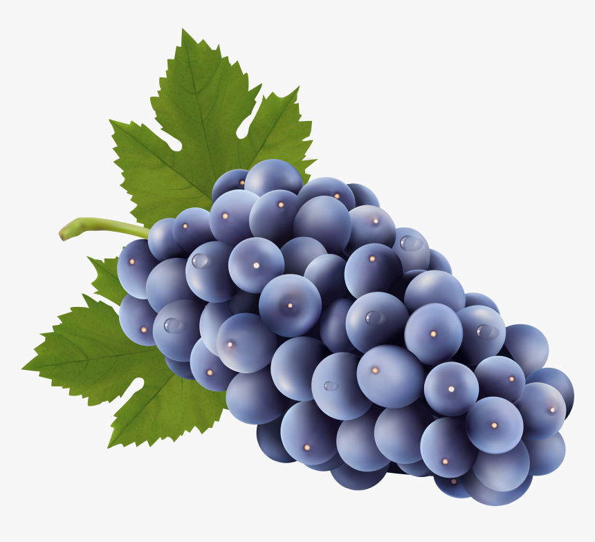 Transparent Grapes Clipart - Grapes Clipart Png, Png Download, Free Download