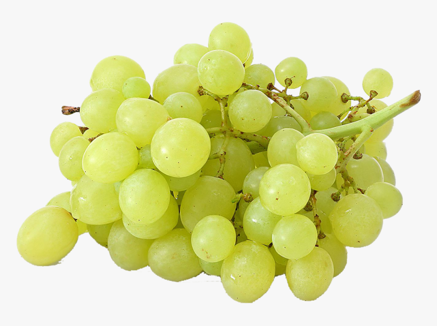 Drawing Vector Grapes- Grape Png Image & Grape Clip - Grape Png, Transparent Png, Free Download