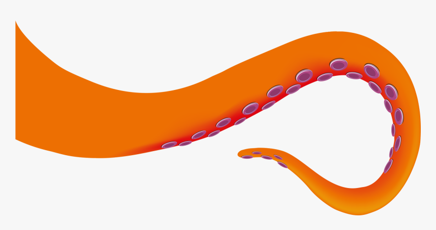 Octopus Tentacle , Png Download, Transparent Png, Free Download