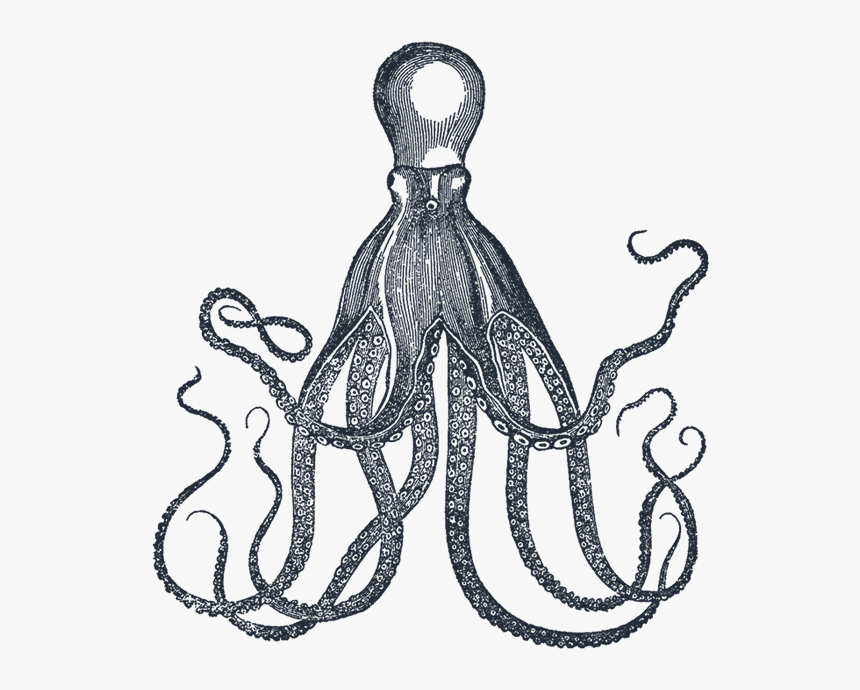 Octopus Print, Octopus Tentacles, Vintage Mermaid, - Octopus Vintage Kraken, HD Png Download, Free Download