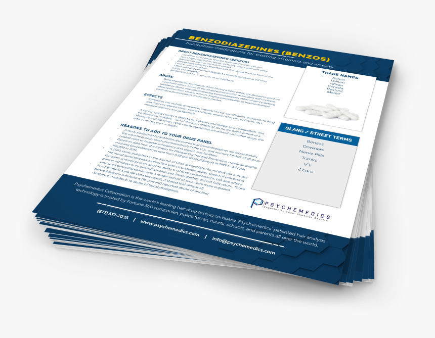 Brochure, HD Png Download, Free Download