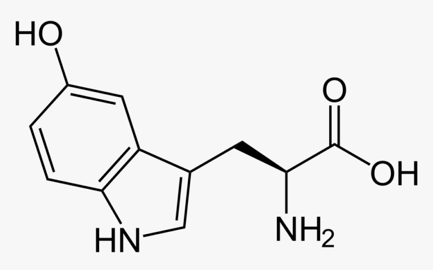 5-htp - 2 3 Diamino Propionic Acid, HD Png Download, Free Download