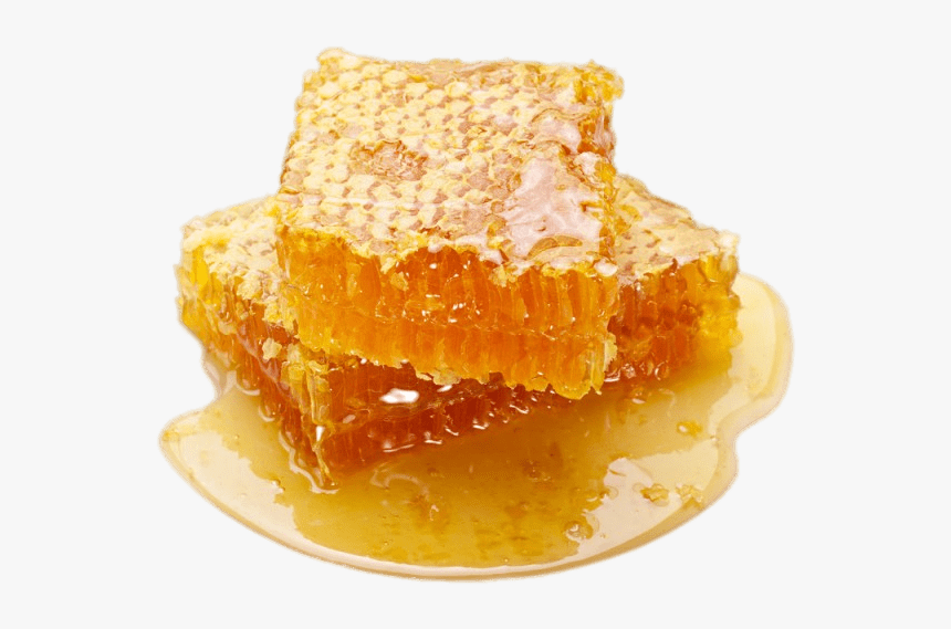 Raw Honeycomb - Honeycomb Korea, HD Png Download, Free Download