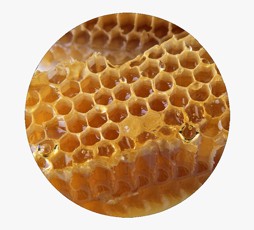 Honeycomb , Png Download - Honeycomb, Transparent Png, Free Download