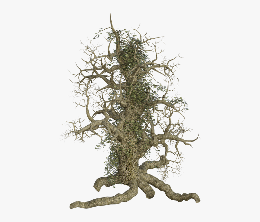 Tree Log Old Root Creeper Ivy Creepy Spooky - Old Tree Roots Png, Transparent Png, Free Download