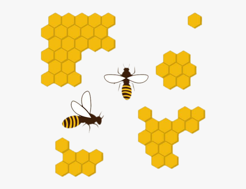Clip Art Beehive Apis Florea Bee - Honey Bee Comb Clipart, HD Png Download, Free Download