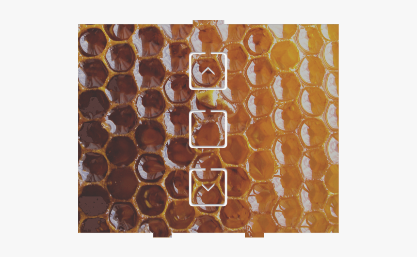 Honeycomb, HD Png Download, Free Download