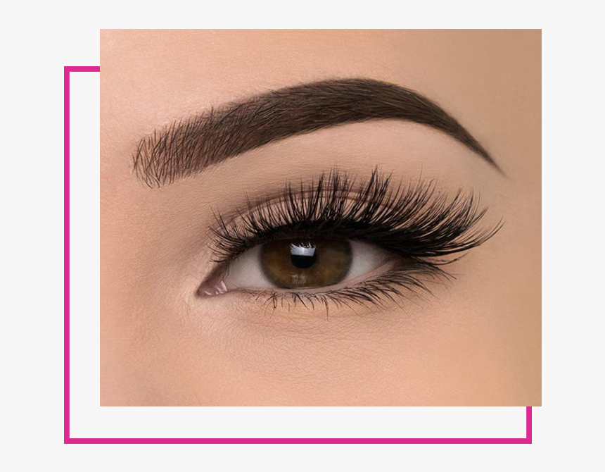 Fake Lashes , Png Download - Weylie X Elf Luxe Lash Kit, Transparent Png, Free Download