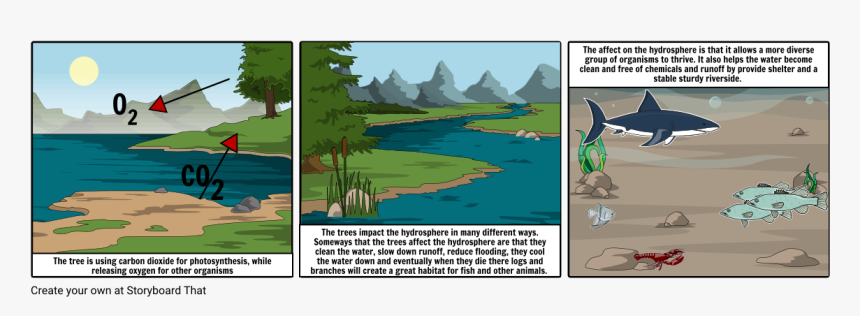 Does Photosynthesis Affect The Hydrosphere, HD Png Download, Free Download