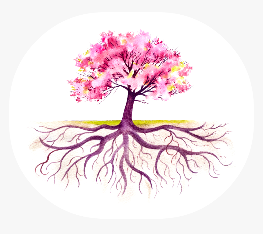 Colorful Tree With Roots, HD Png Download, Free Download