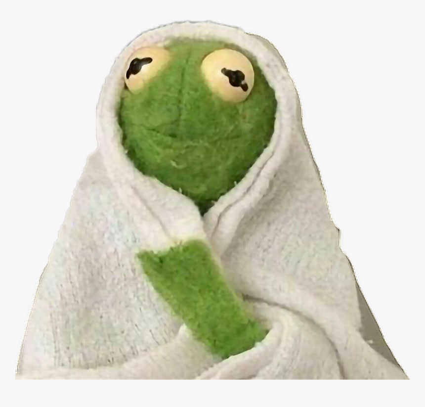 Kermitthefrog Kermitmemes The Frog - Kermit In A Blanket, HD Png Download, Free Download