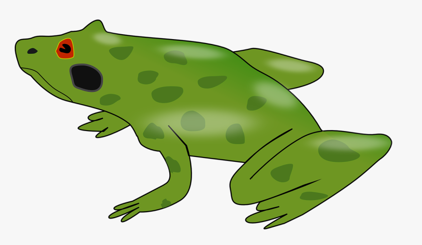 Plant,grass,toad - สัตว์ ครึ่ง บก ครึ่ง น้ำ รูป การ์ตูน, HD Png Download, Free Download